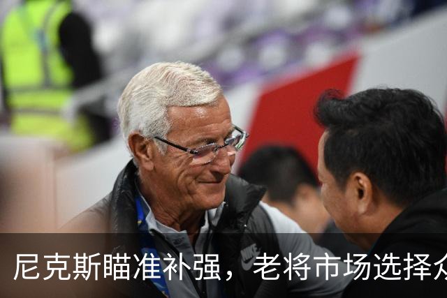 尼克斯瞄准补强，老将市场选择众多
